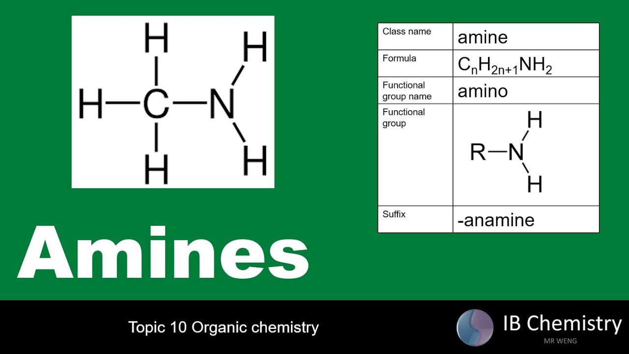 Amine structure and naming