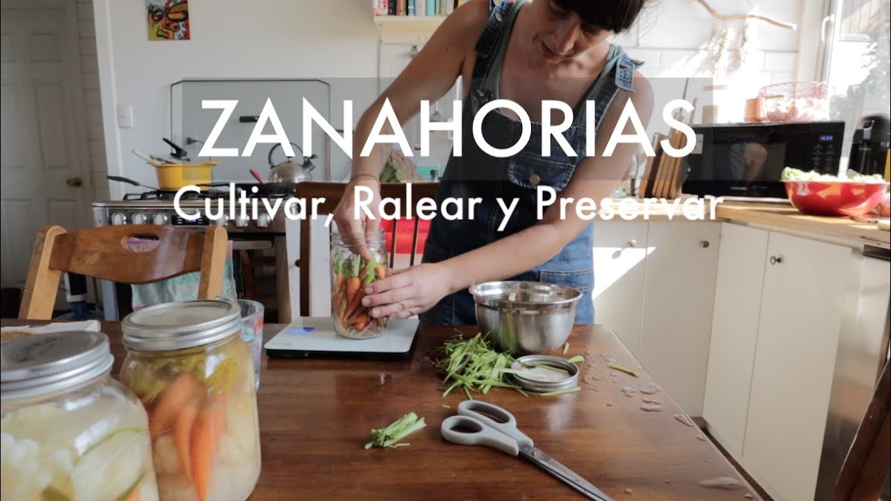 Huerto y Zanahorias | Cultivar, Ralear y otra manera de Preservar tus Cosechas.