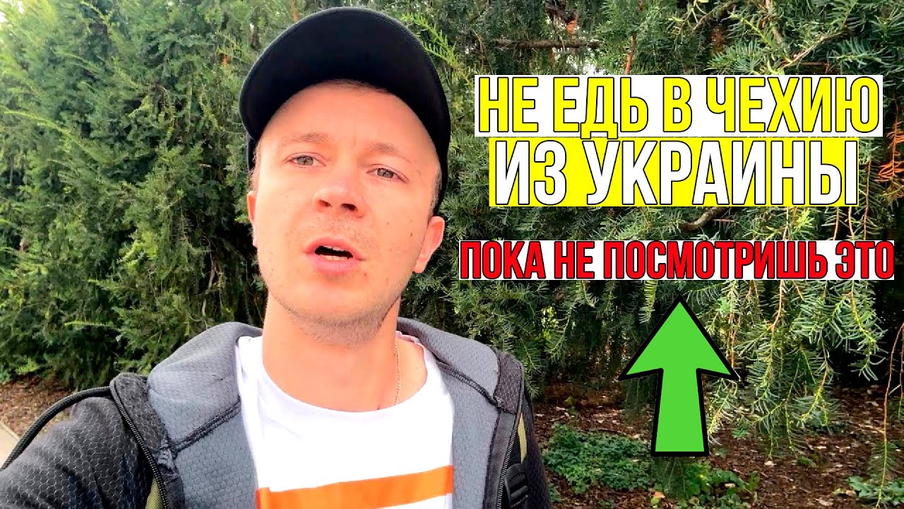 Беженцы из Украины в Чехии / Как получить беженство в Чехии / Украинцы в Чехии