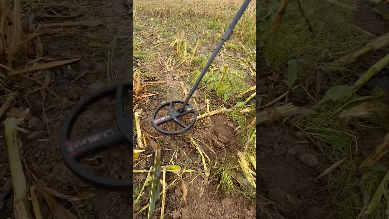 Вот чем опасен этот сигнал 🚨#находки #империя #metaldetector #копатель #XPDeus2 #Minelab