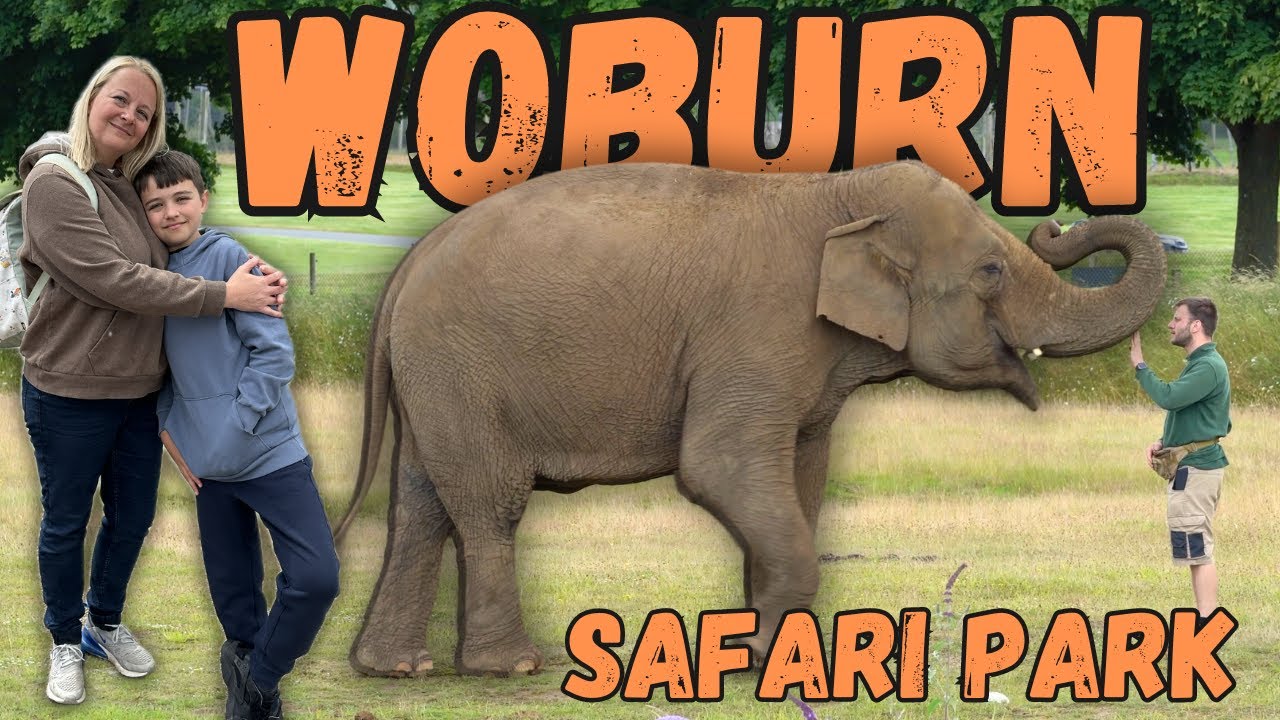 Woburn Safari Park - A Fantastic Family Day Out!
