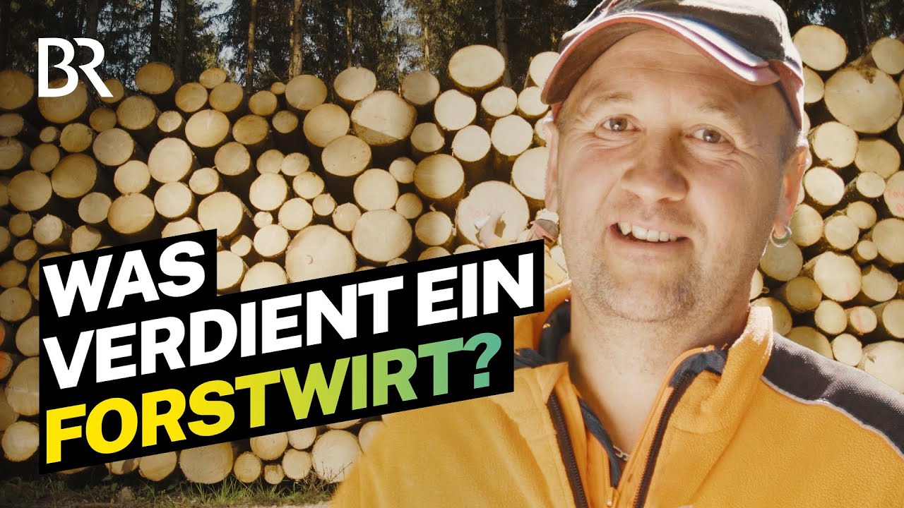 Borkenkäfer jagen und Bäume fällen: Das verdient ein Forstwirtschaftsmeister I Lohnt sich das? | BR