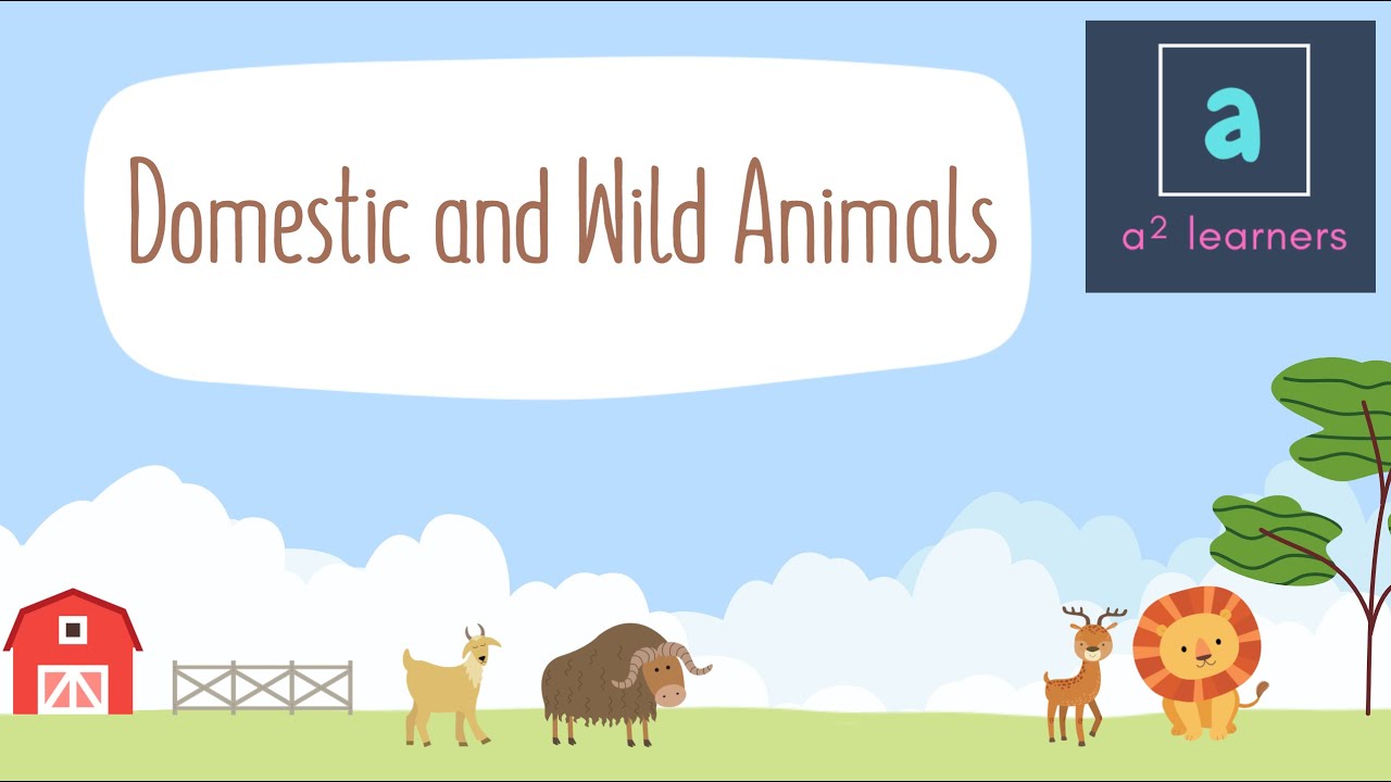 Domestic and Wild Animals | ASquare Learners | Educational Videos For Kids