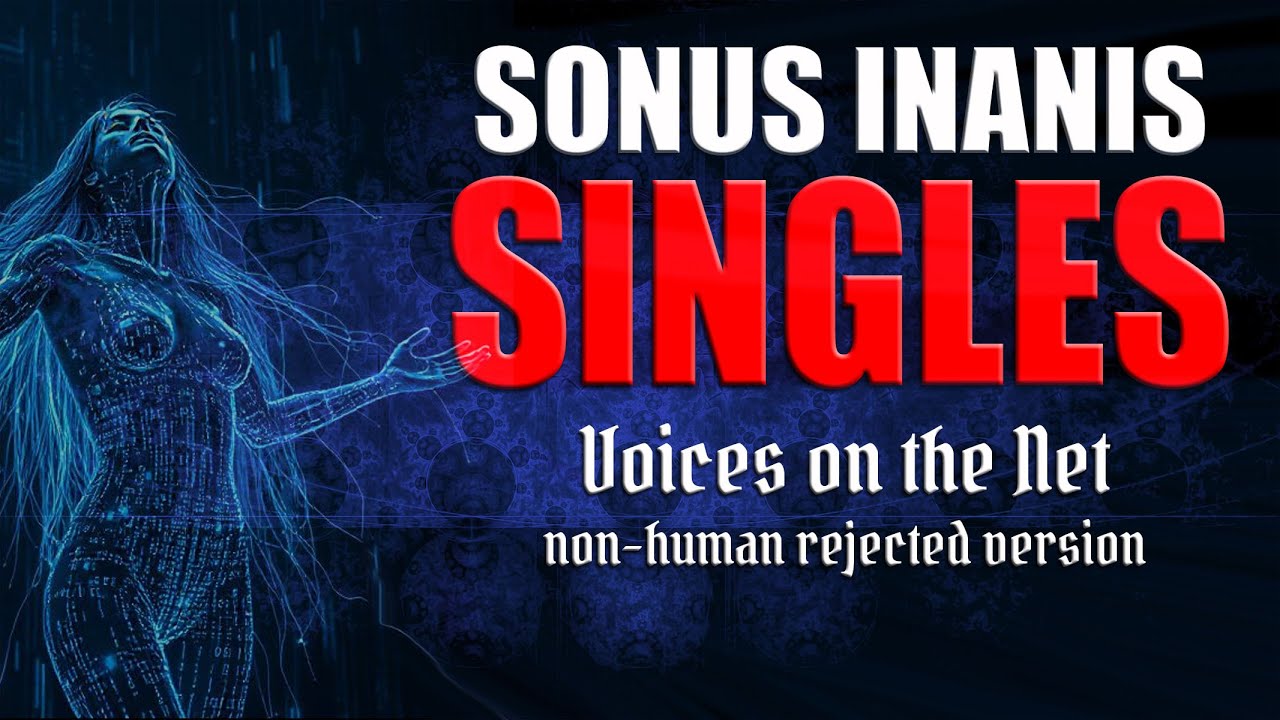 Voices on the Net: non-human rejected version