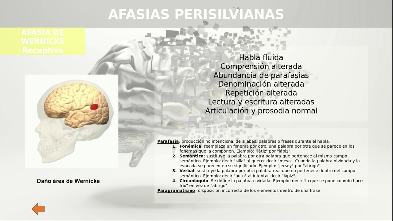 Neuropsicología del lenguaje