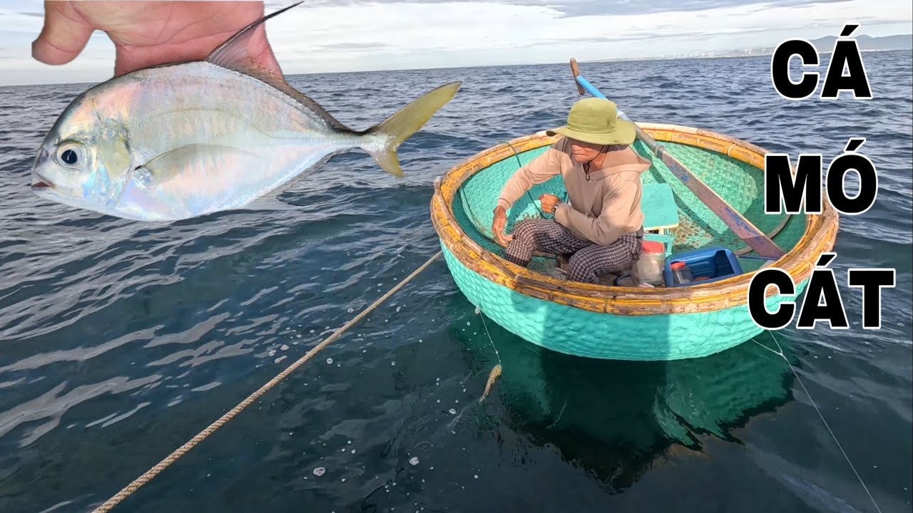 754 ) CUỐI CÙNG CŨNG GẶP NGAY CHỖ CÁ LỚN KIẾM GẠO.