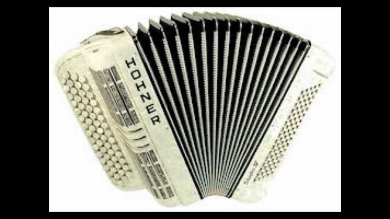 la marche des accordeonistes lyonnais
