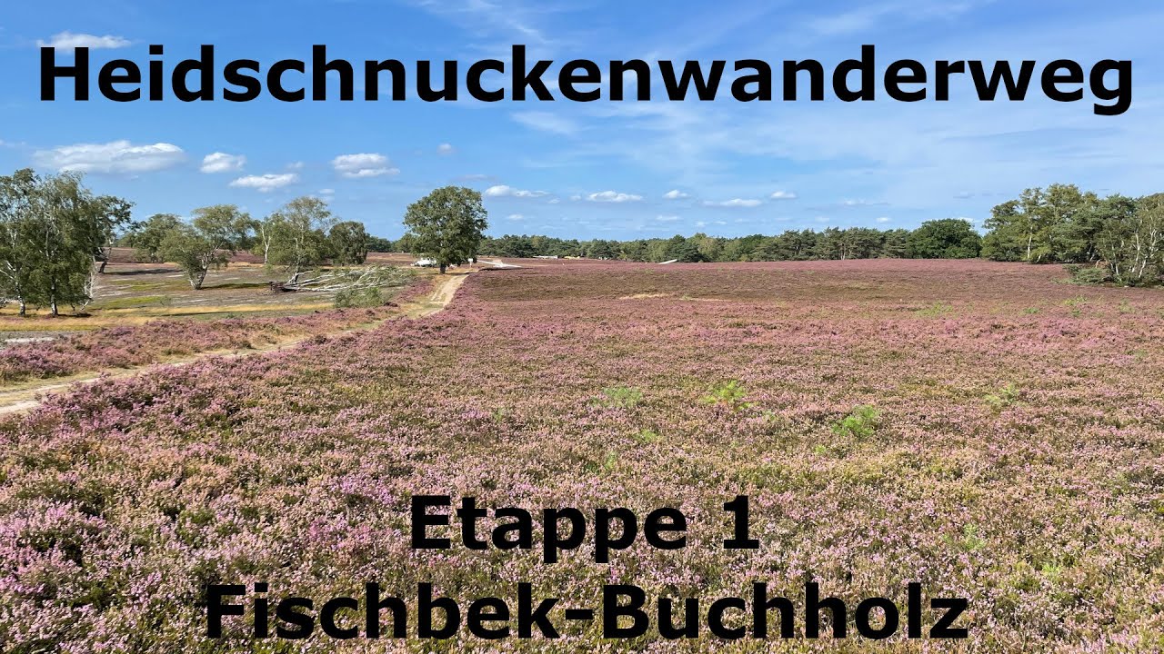 Heidschnuckenweg - Etappe 1 - Fischbek-Buchholz - Wandern im Norden