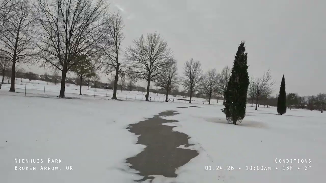 Walking through the 2026 January snow