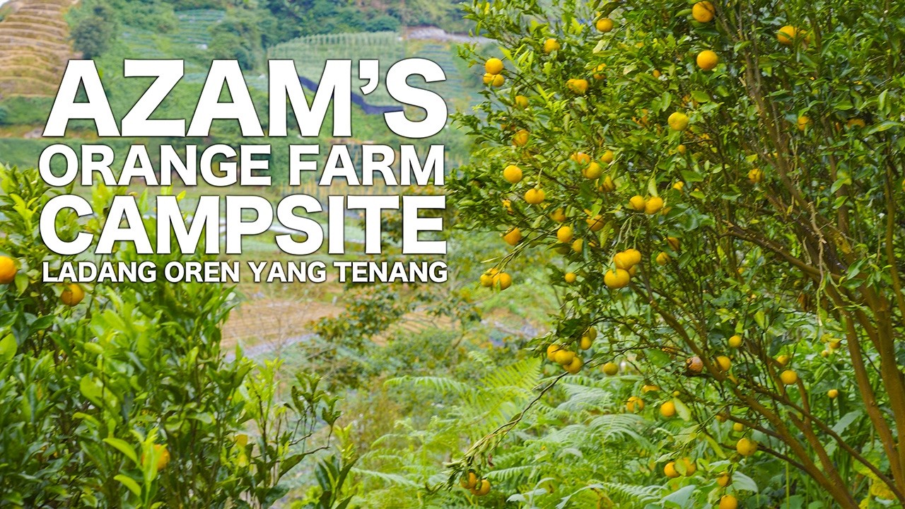 Hidden Gem di Cameron Highlands – Azam’s Orange Farm Campsite