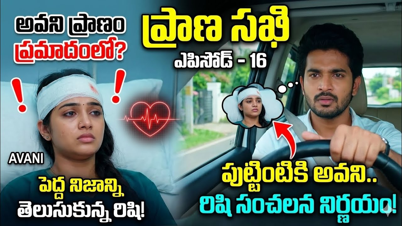 ప్రాణ సఖి -16( అవని గురించి రిషి కి తెలిసిన నిజం)