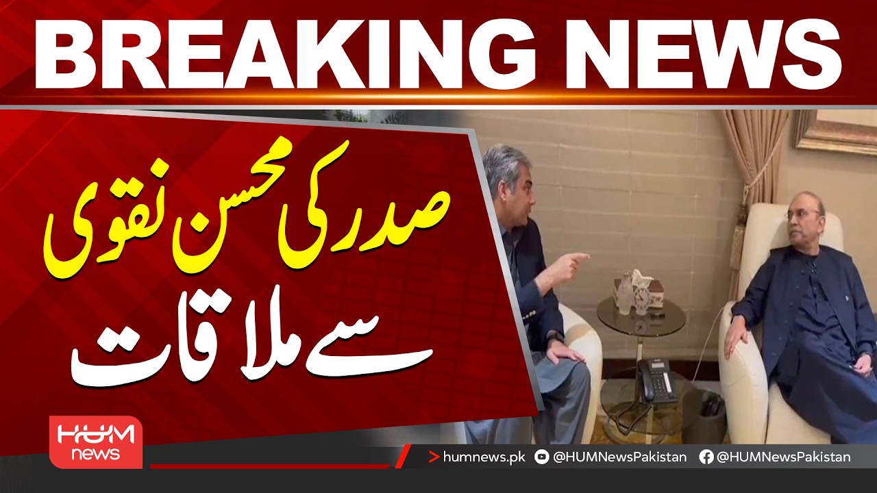 President Asif Ali Zardari Meets Mohsin Naqvi | Important Meeting| Hum News | Pakistan