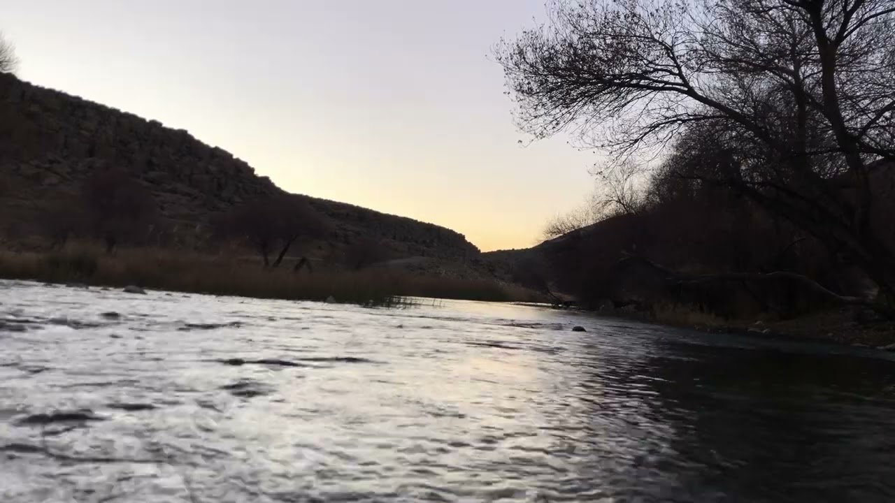 1 Hour Relaxation Natour Sound _ Birds & River for Meditation