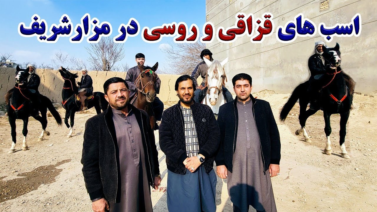 گزارش کاج از پرورش و نگهداری اسب های قزاقستانی و روسی در شهر مزارشریف|تیم بزکشی یاران مولا علی