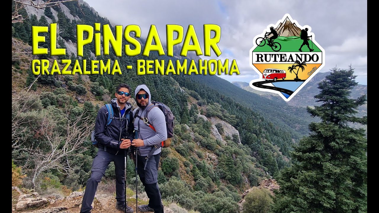 El Pinsapar (de Grazalema a Benamahoma)