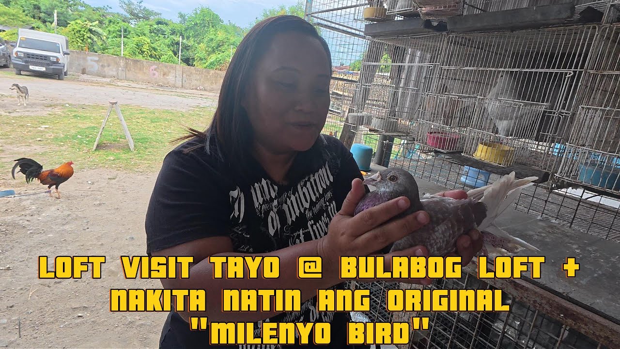 LOFT VISIT TAYO @ BULABOG LOFT + NAKITA NATIN ANG ORIGINAL MILENYO BIRD (PART 1)
