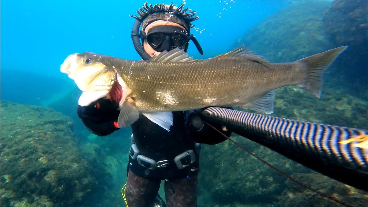 Zıpkınla levrek avı 🐟 Eva ile beraber dalıp balıkları aldık ! Yakala pişir🔥 Dalış Keyif huzur