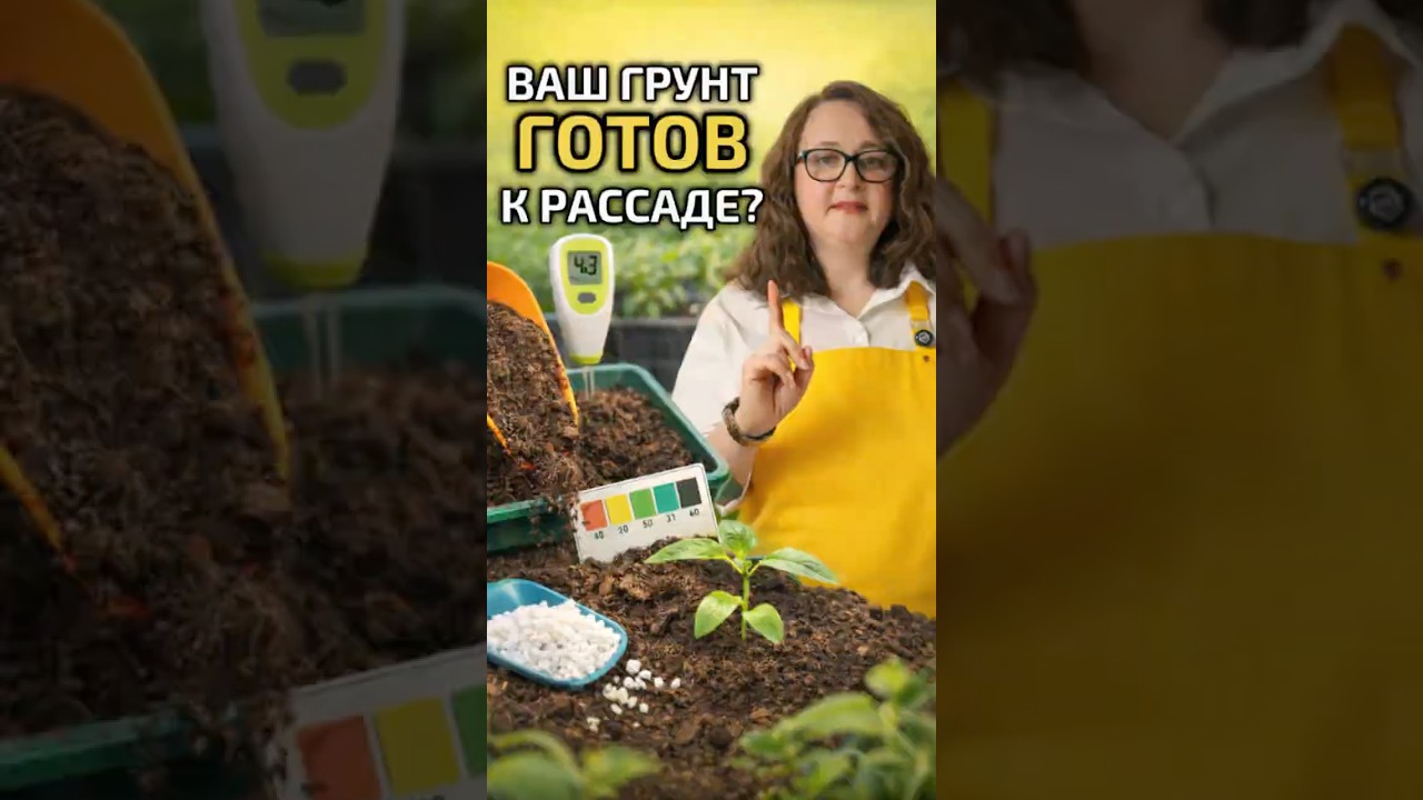 Чек-лист: за 2 минуты проверьте свой грунт к посадке