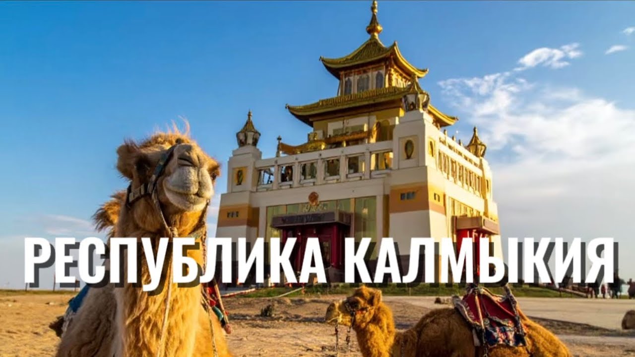 РЕСПУБЛИКА КАЛМЫКИЯ 2025!Потеряли 2  Дрона!!!🐪, едим калмыцкую кухню, Розовое озеро, Маныч-Гудило