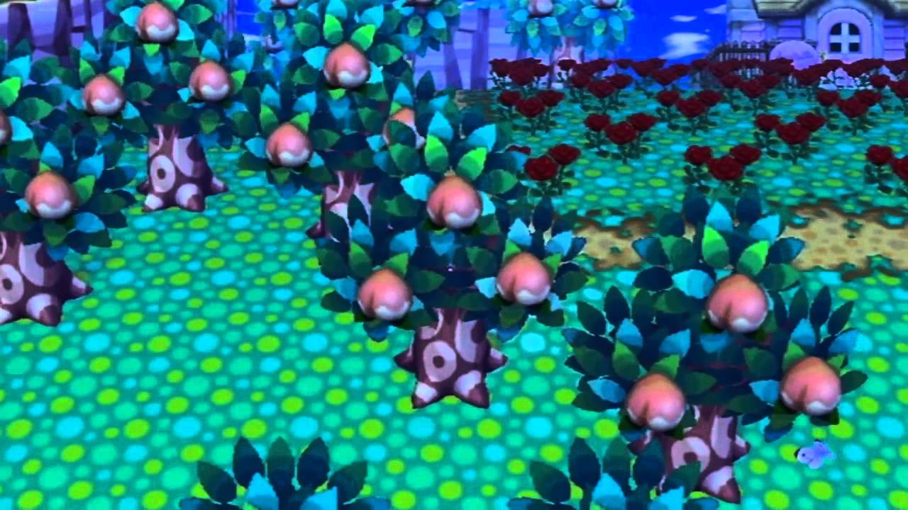 Animal Crossing City Folk - Town Tour, June 2012 (HD)