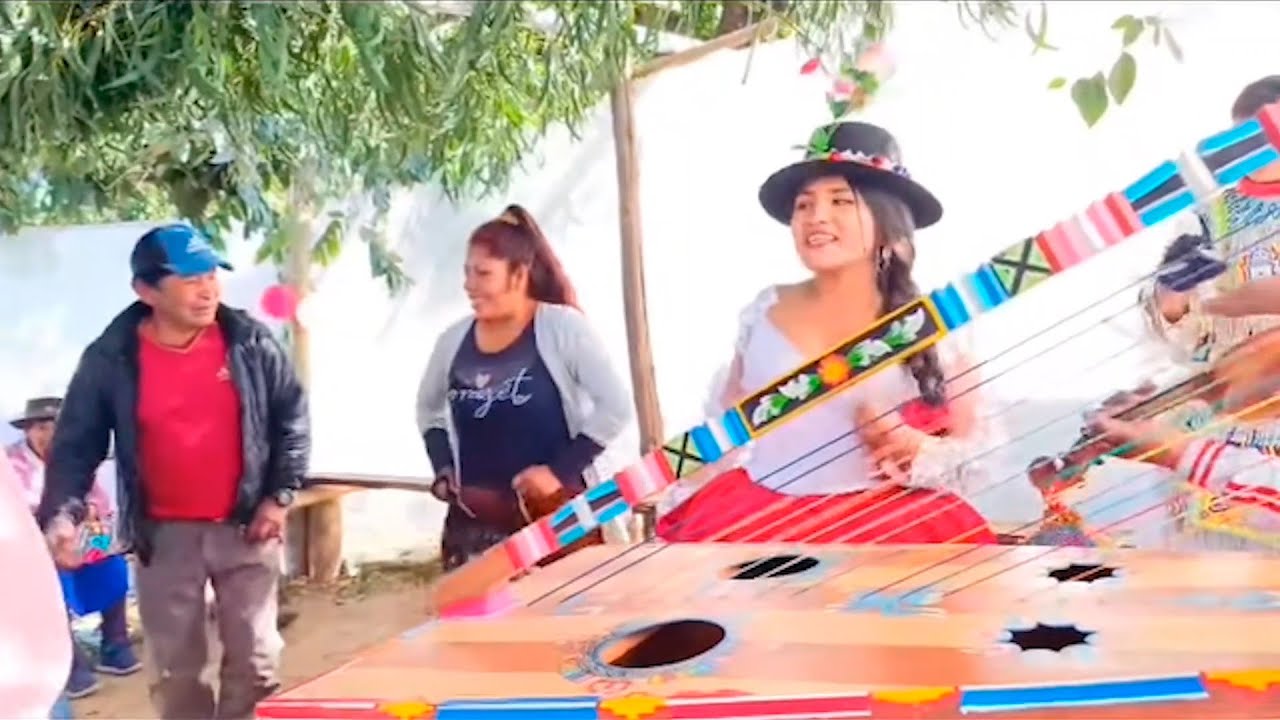 JARANA ARPA & VIOLIN / LINDA MILLY DE AYMARAES