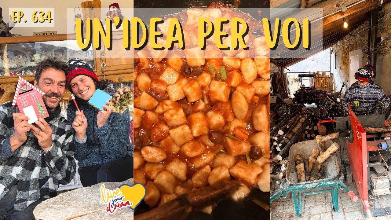 Pioggia, legna, neve, gnocchi, Natale, animali al pascolo. Dicembre vissuto in montagna - Ep. 634