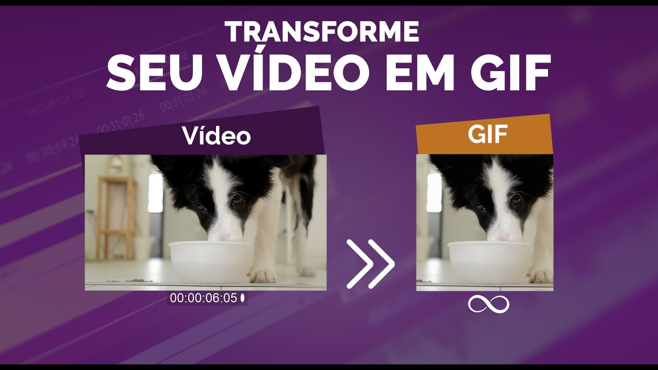 Transforme seu vídeo em GIF no ADOBE PREMIERE