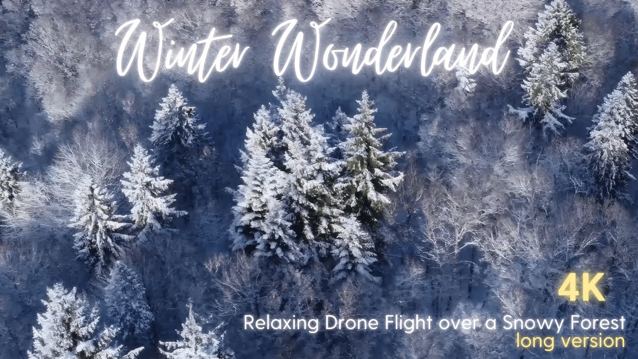 Winter Wonderland in Northern Germany ❄️. Long Relaxing Drone Flight over Snowy Forest, Cinematic 4K