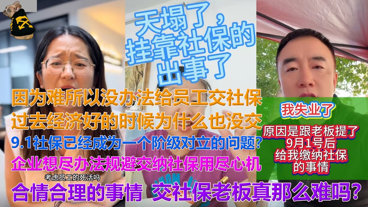 社保已经成为一个阶级对立的问题？交社保老板难还是劳动者难？老板们想尽办法规避交纳社保用尽心机 #社保 #中国 #打工人 #牛马