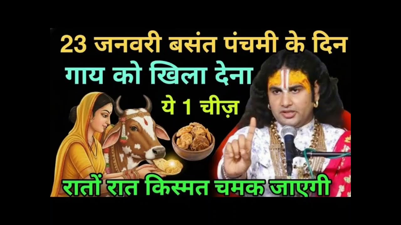 बसंत पंचमी के दिन चुपचाप गाय को एक चीज खिला देना। रातो रात किस्मतचमक जाएगी।।