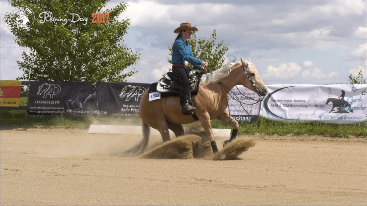 Reining Day 2017 -  South Hill Ranch