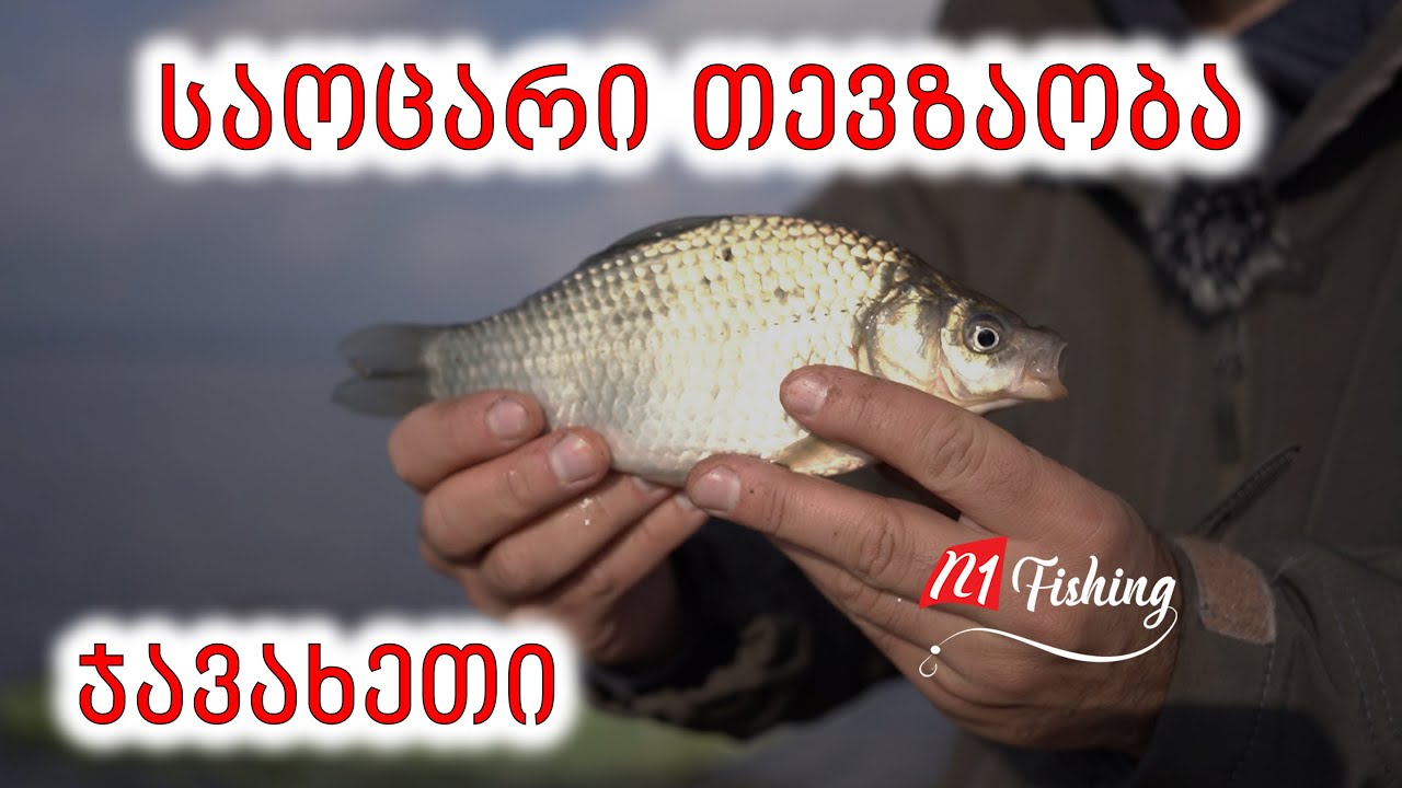 თევზაობა ფიდერით წალკის წყალსაცავი 2024
