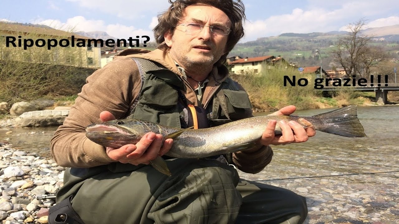 Ripopolamenti? No grazie! Per una pesca sostenibile. Fly Fishing