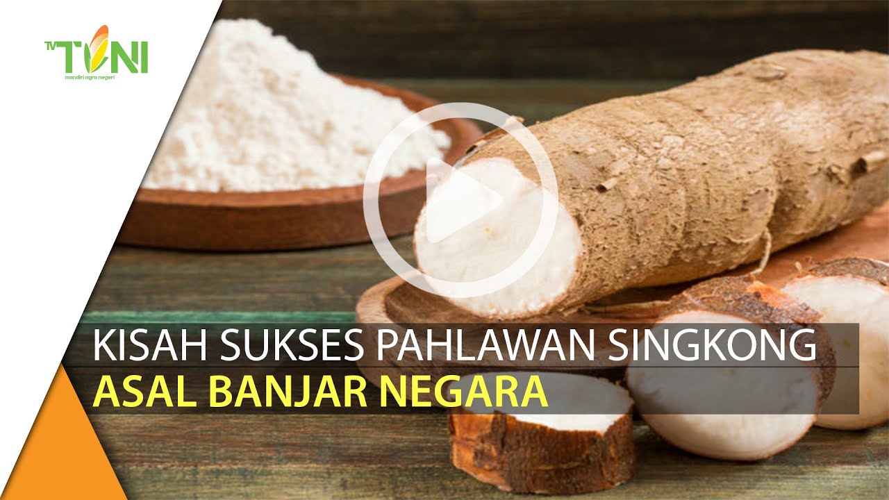 Petani Milenial Angkat Drajat Singkong Sampai Ke Mancanegara