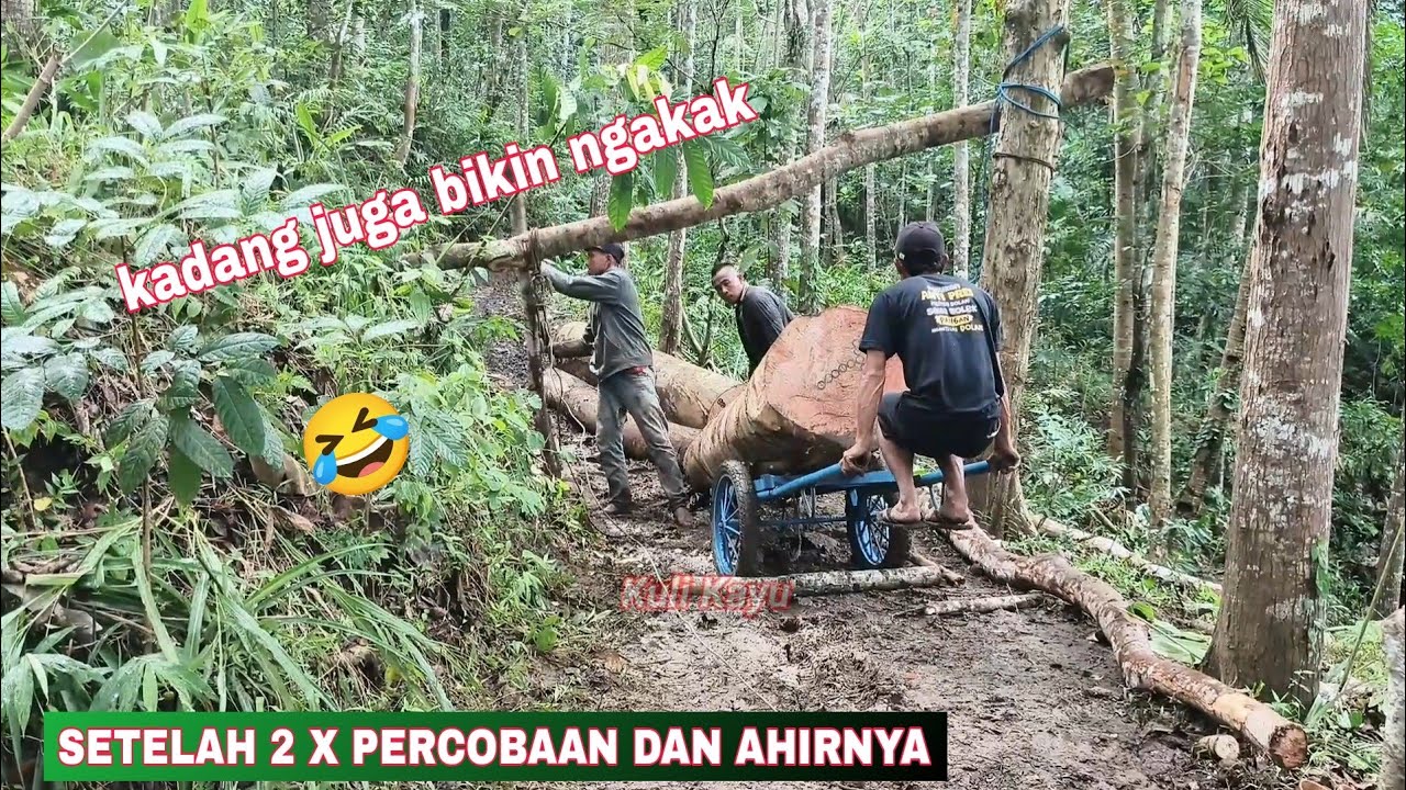 Kadang tingkahnya juga bikin ketawa ngakak 🤣