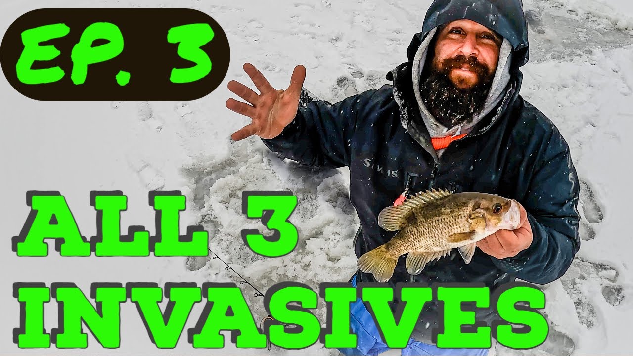 Ice Fishing Camping for 