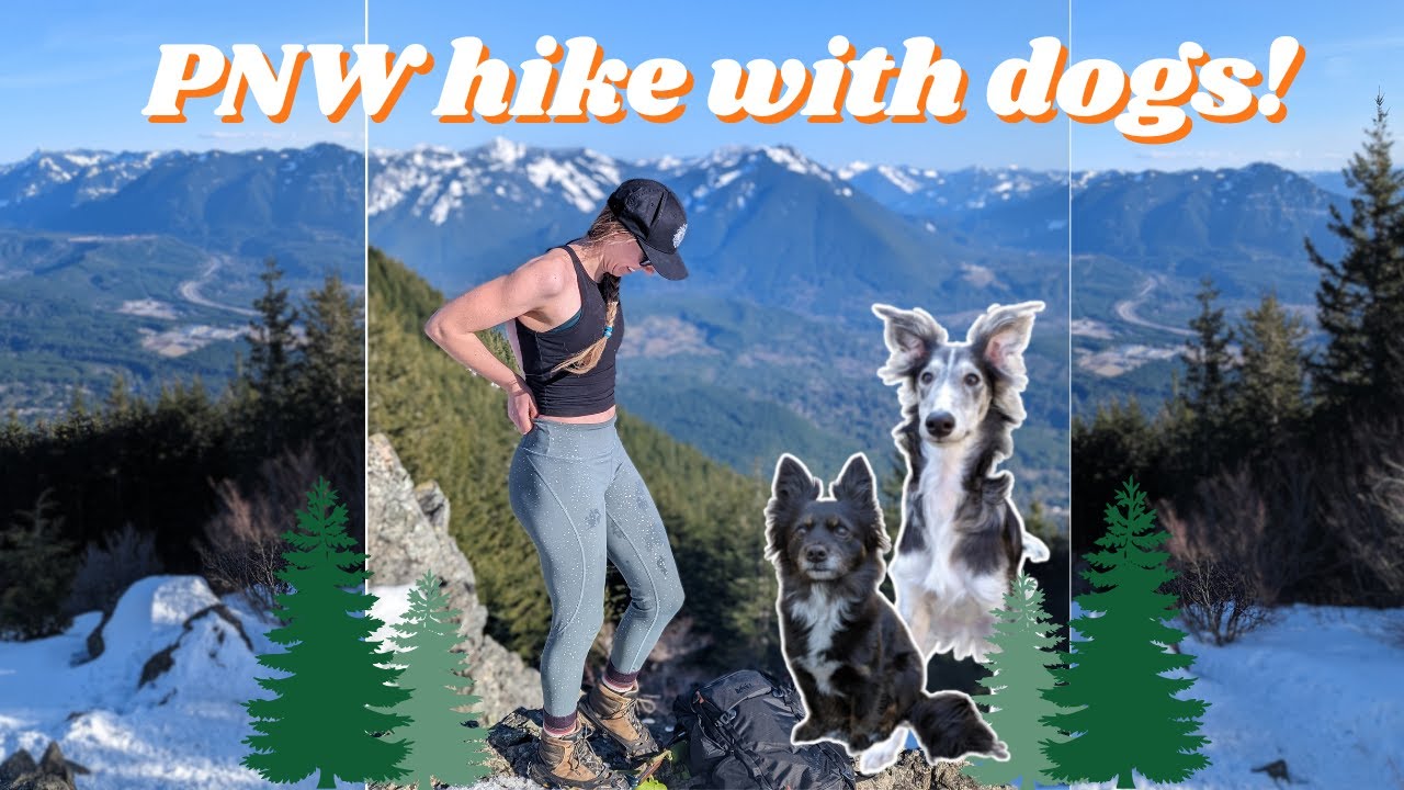 Hiking Mt. Si with my Silken Windhound