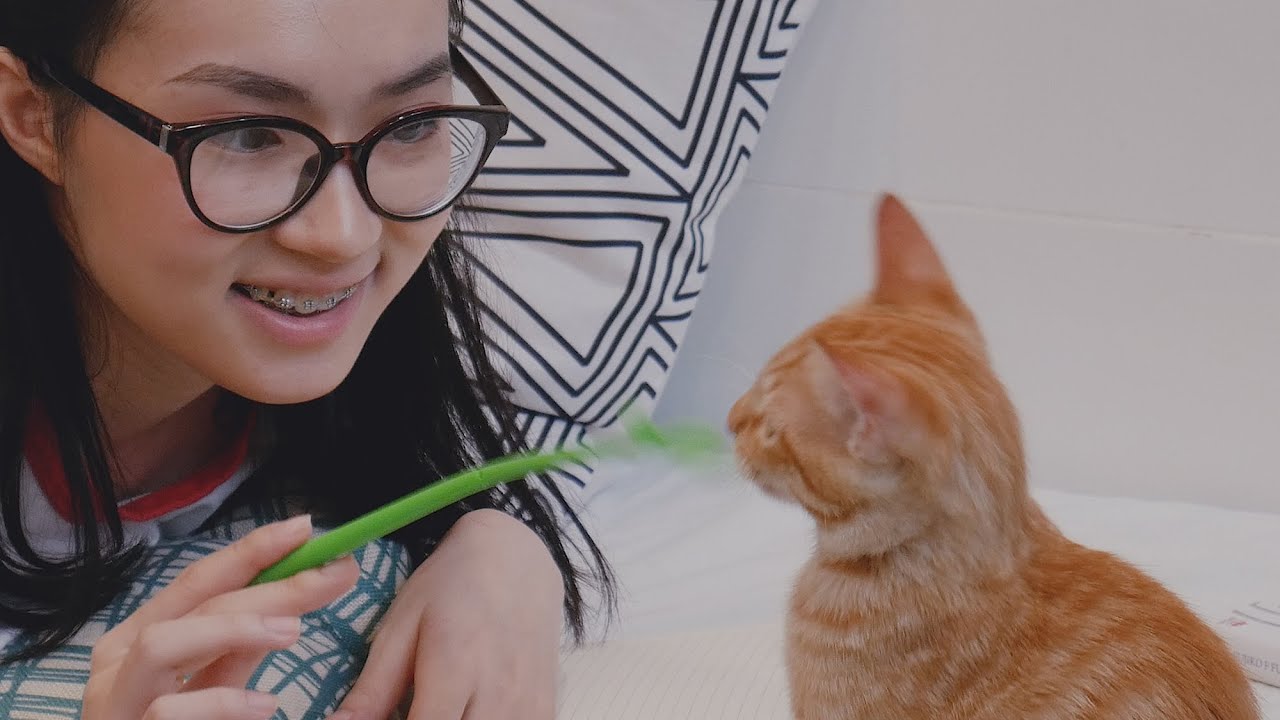 4K Ultra HD - Most Cutest Asian Girl - So Cute Asia