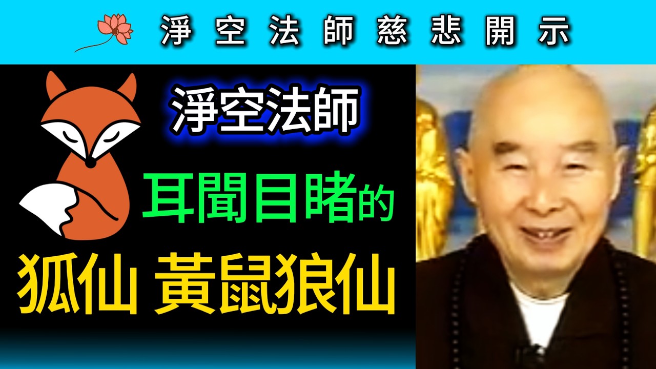 淨空法師耳聞目睹的狐仙黃鼠狼仙 ~ 淨空法師慈悲開示