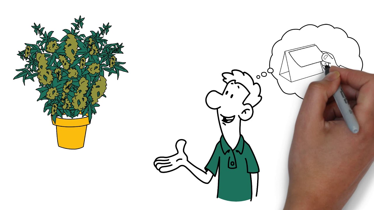 Bloom Florigen - Product Video