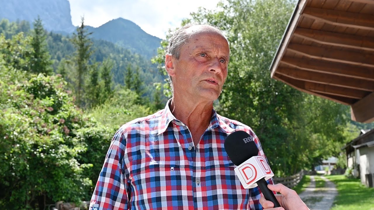 Lavant: Wolf treibt Schafe von der Alm