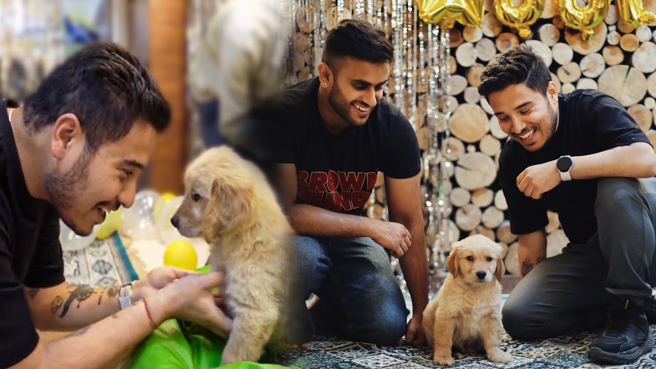 Surprised @THE HIMALAYAN HUSKY  With Puppy *Emotional Reaction*🥺😍