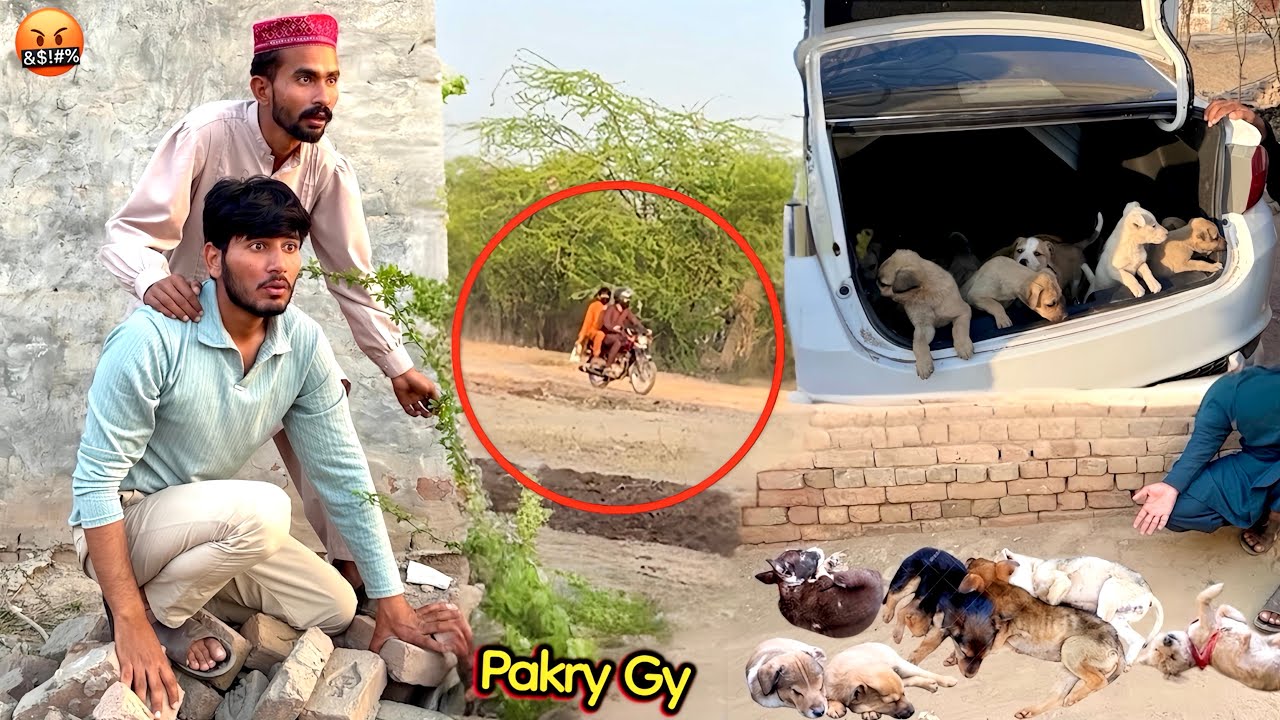 Masoom Puppies🐶 Ko Marny Waly Government ky Bandy Pakry Gy 🤬