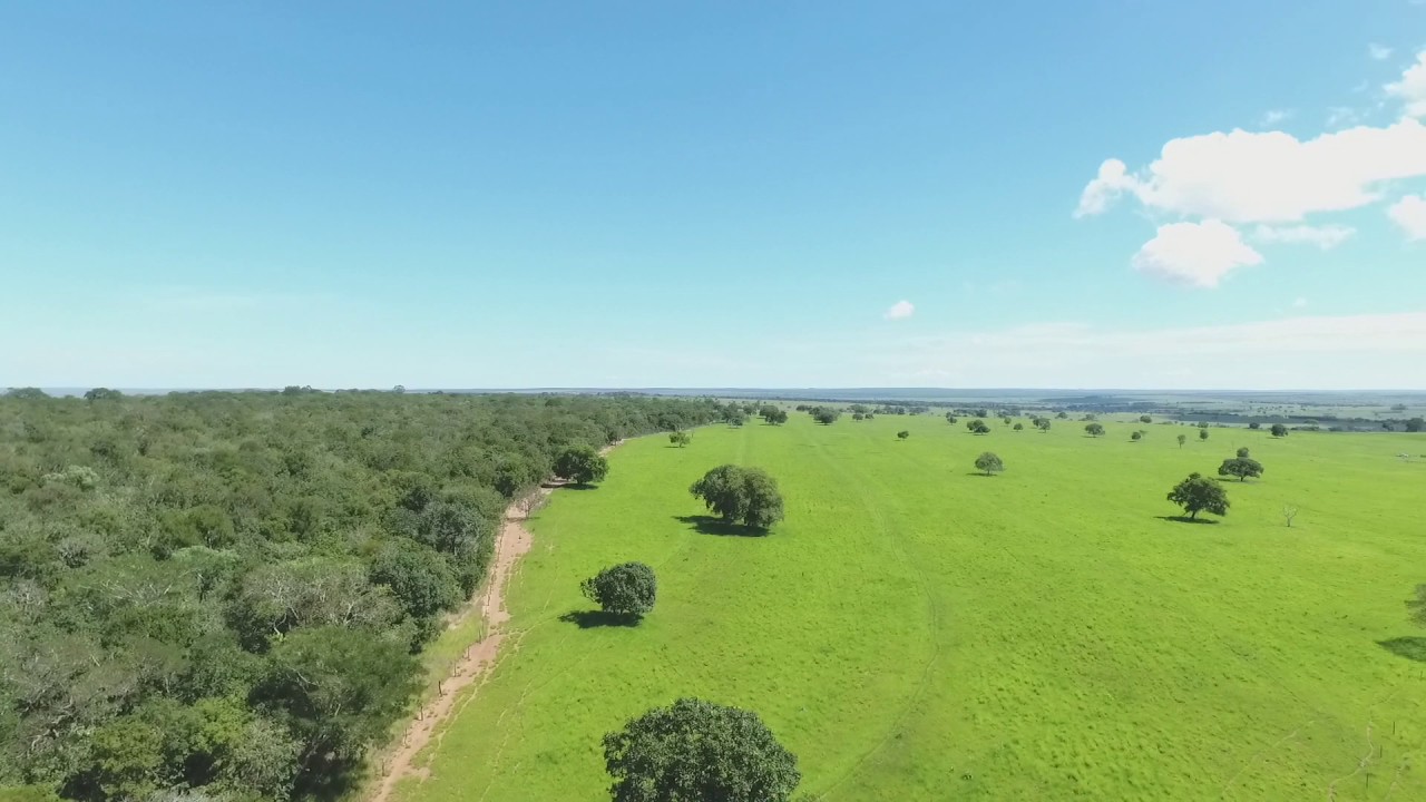 Fazenda Jatiúca - Água Clara/MS - Abril/2017