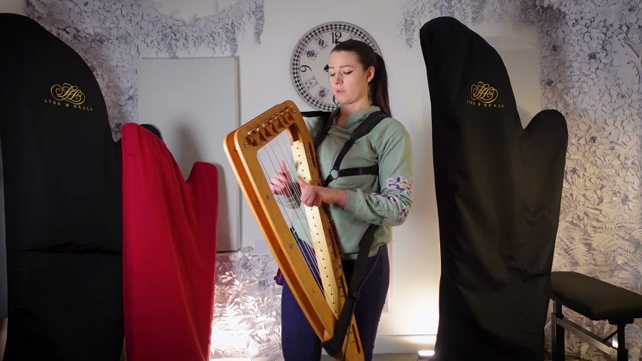 Testing out my new roaming Harp-E setup