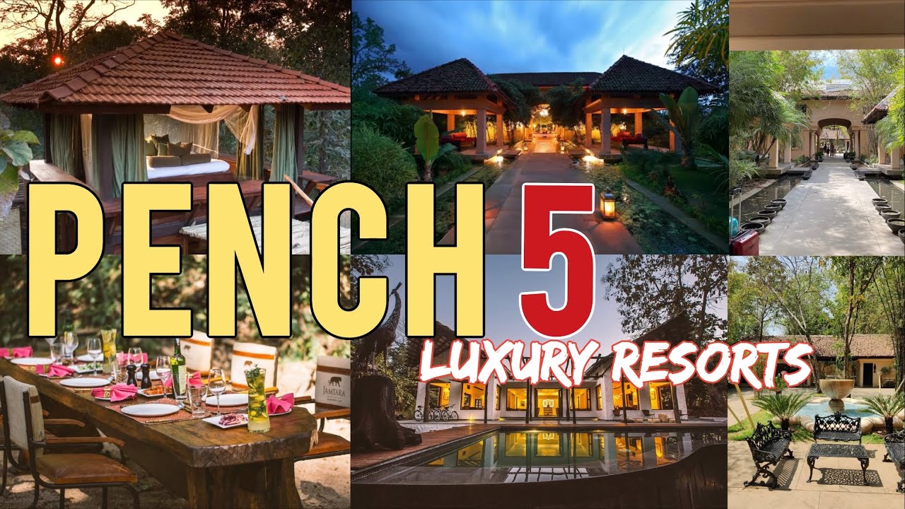 Top 5 Luxury Resorts in Pench Jungle |Luxury Resort | Jungle Resort #resort #pench #hotels #jungle