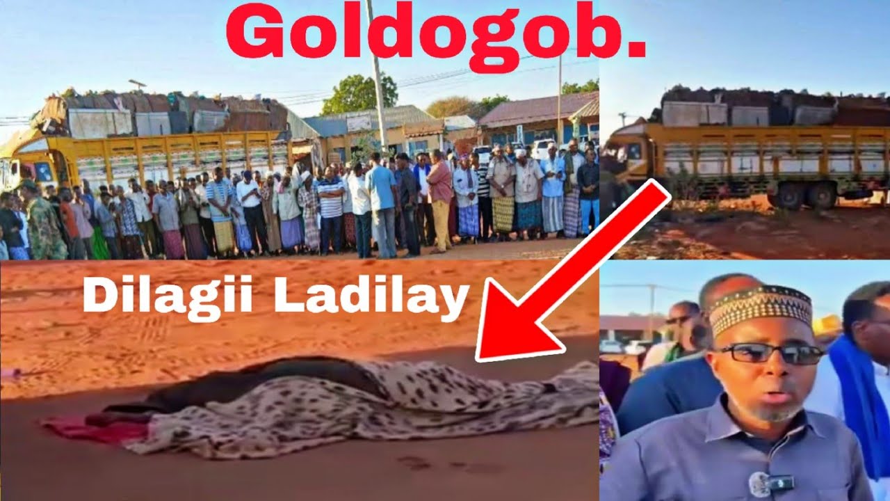 Goldobog. Waxaa Kadhacay wax yaab leh. Dilaagii Ladilay. Cadaalad ilaahay Ayaa dhacday.