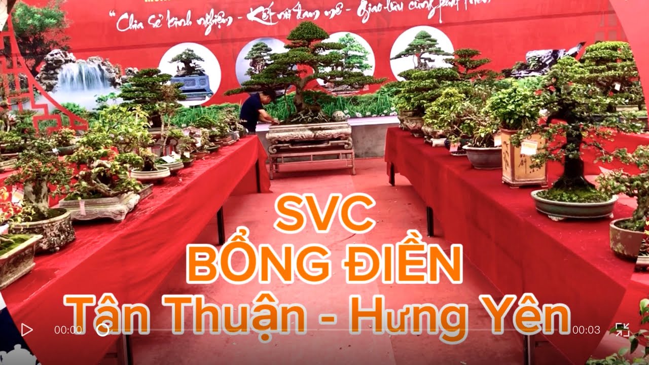 P1 Ngắm Cây mini ở Bổng Điền | Cây cảnh Bách Thuận 