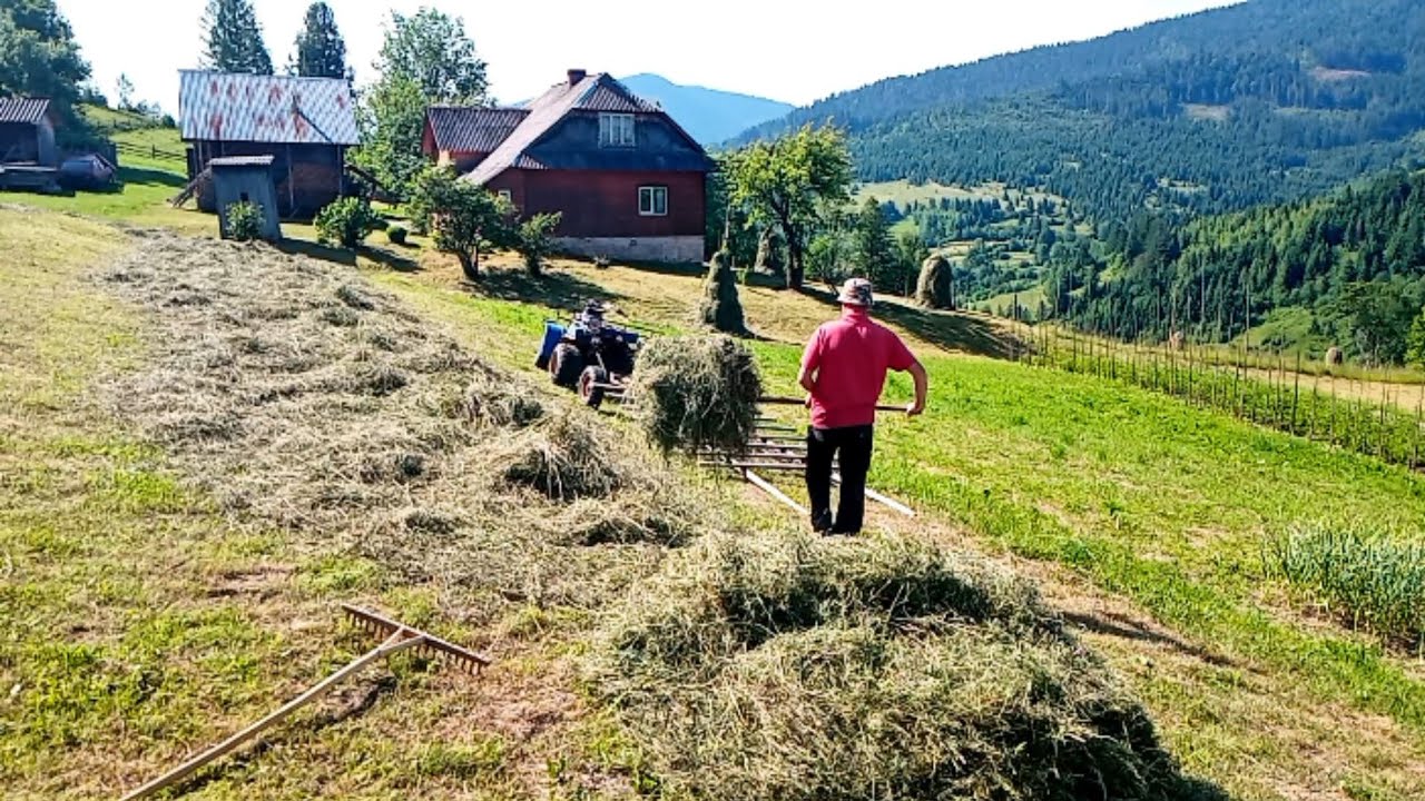 Mountain Hay Harvest in the Carpathians.