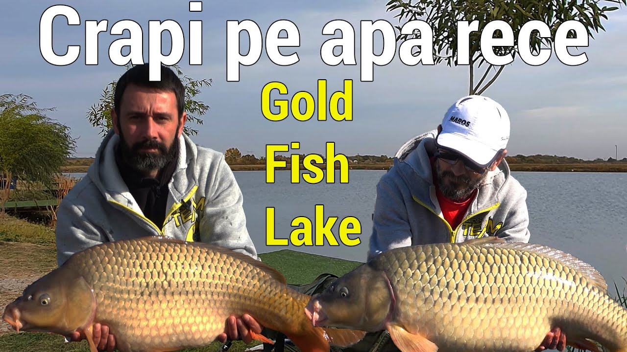 Method feeder: Pescuit la crap pe apa rece